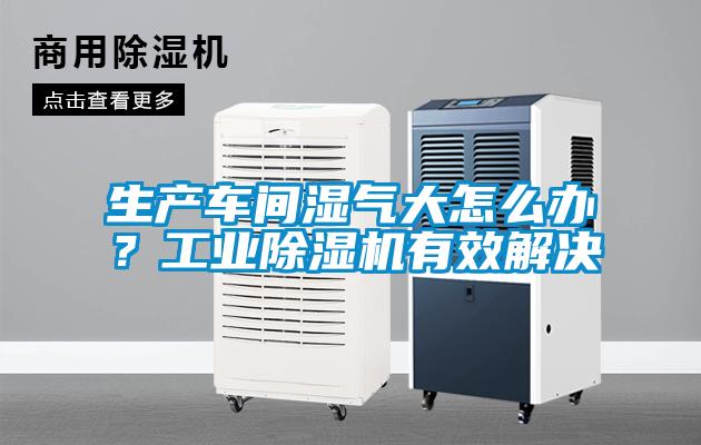 生产车间湿气大怎么办？工业草莓视频APP在线观看有效解决