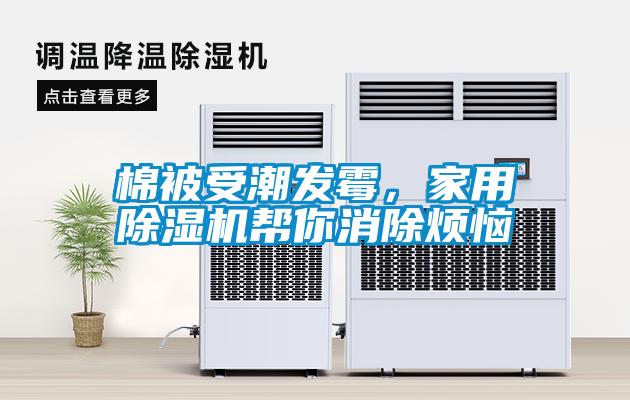 棉被受潮发霉，家用草莓视频APP在线观看帮你消除烦恼