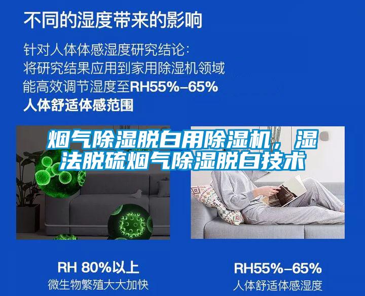 烟气除湿脱白用草莓视频APP在线观看，湿法脱硫烟气除湿脱白技术