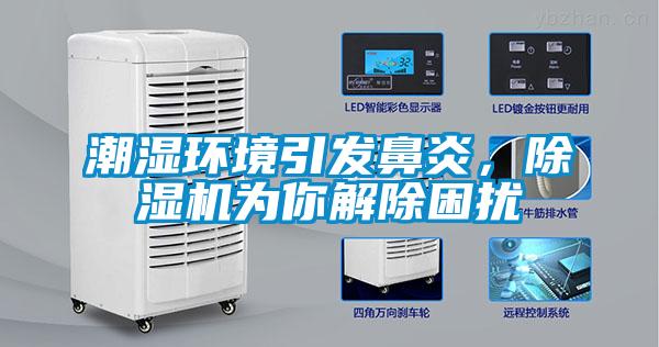 潮湿环境引发鼻炎，草莓视频APP在线观看为你解除困扰