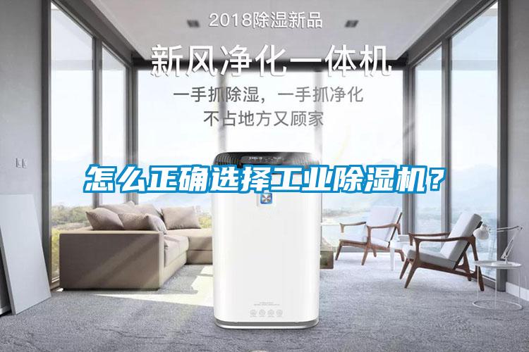 怎么正确选择工业草莓视频APP在线观看？