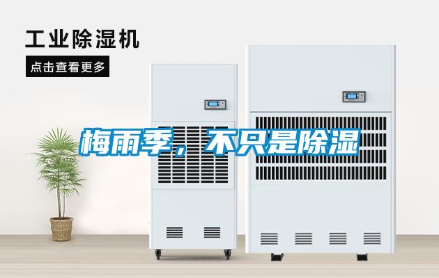 梅雨季，不只是除湿