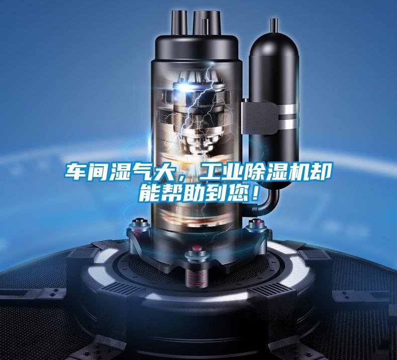 车间湿气大，工业草莓视频APP在线观看却能帮助到您！