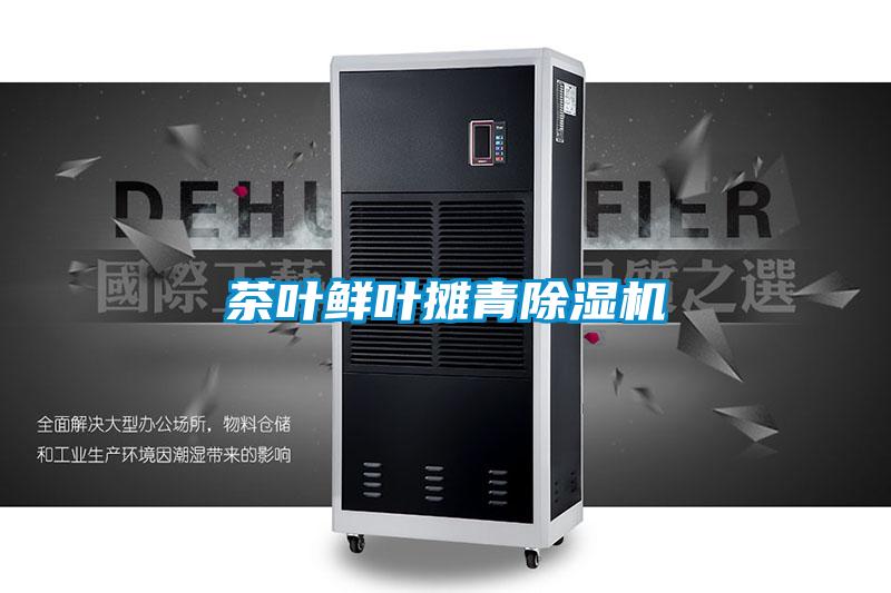 茶叶鲜叶摊青草莓视频APP在线观看