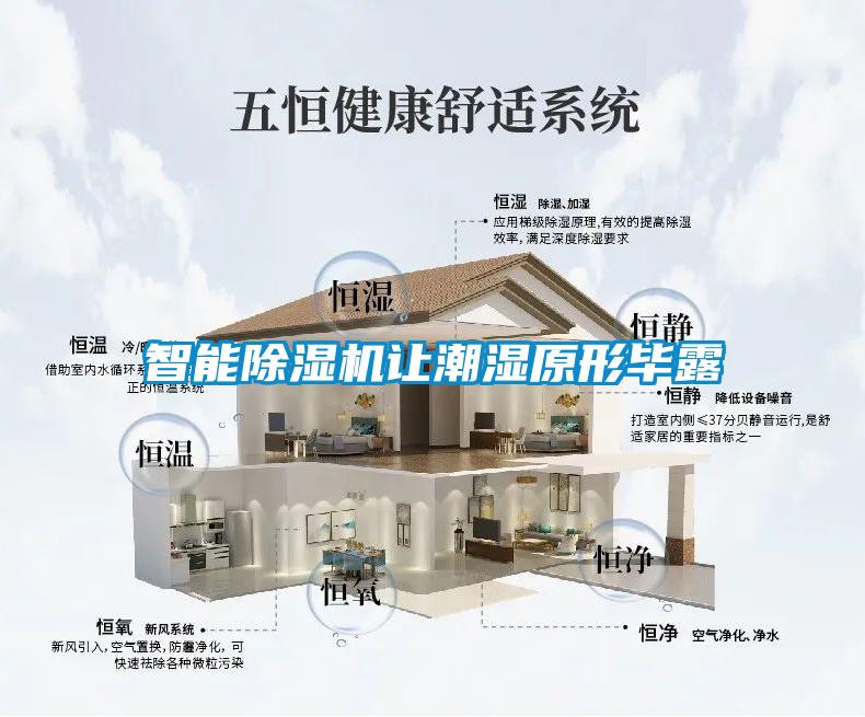 智能草莓视频APP在线观看让潮湿原形毕露