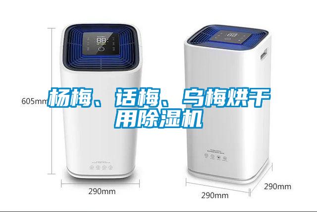 杨梅、话梅、乌梅烘干用草莓视频APP在线观看