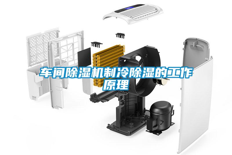 车间草莓视频APP在线观看制冷除湿的工作原理
