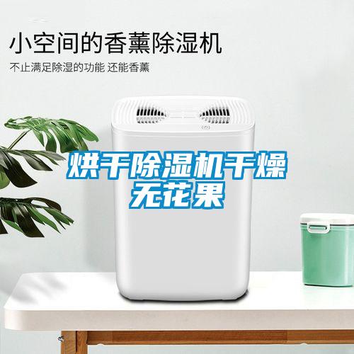 烘干草莓视频APP在线观看干燥无花果