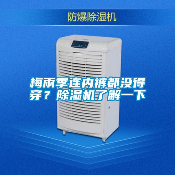 梅雨季连内裤都没得穿？草莓视频APP在线观看了解一下