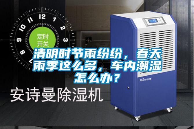 清明时节雨纷纷，春天雨季这么多，车内潮湿怎么办？