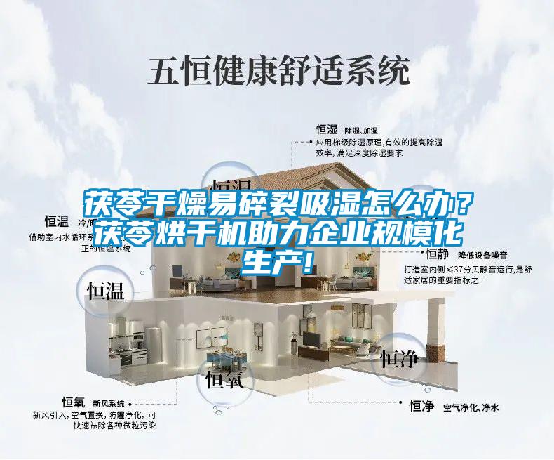 茯苓干燥易碎裂吸湿怎么办？茯苓烘干机助力企业规模化生产!