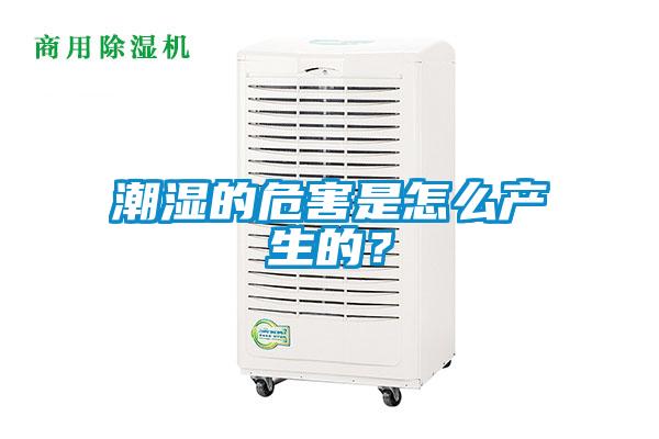 潮湿的危害是怎么产生的？