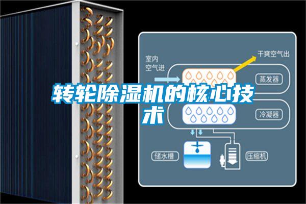 转轮草莓视频APP在线观看的核心技术
