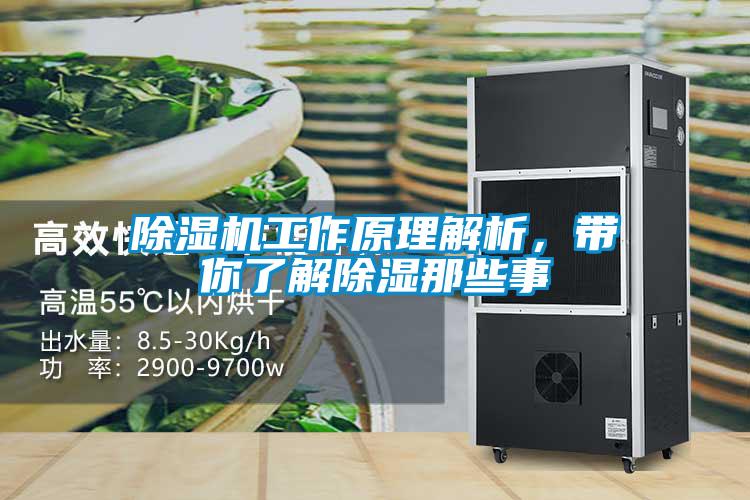 草莓视频APP在线观看工作原理解析，带你了解除湿那些事