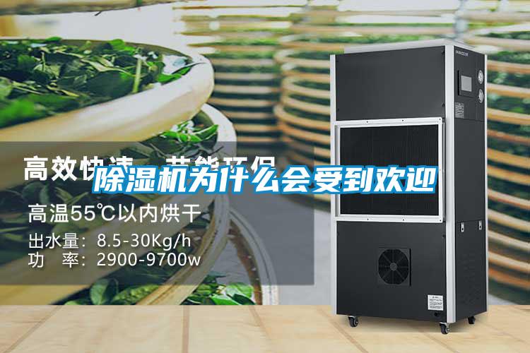 草莓视频APP在线观看为什么会受到欢迎