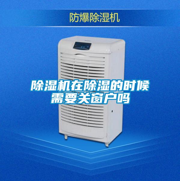 草莓视频APP在线观看在除湿的时候需要关窗户吗