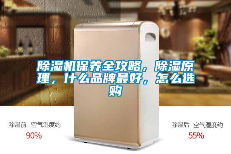 草莓视频APP在线观看保养全攻略，除湿原理，什么品牌最好，怎么选购