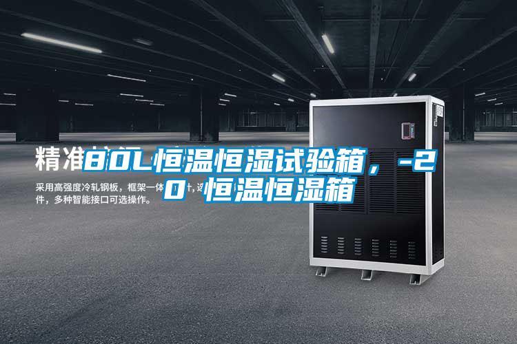80L恒温恒湿试验箱，-20℃恒温恒湿箱