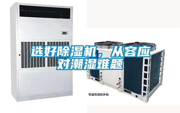 选好草莓视频APP在线观看，从容应对潮湿难题