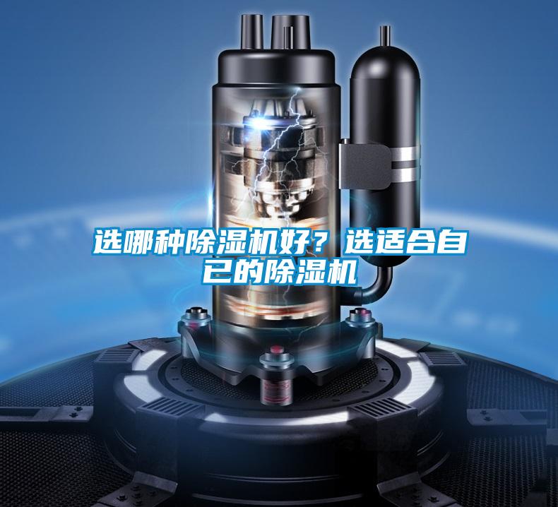 选哪种草莓视频APP在线观看好？选适合自已的草莓视频APP在线观看