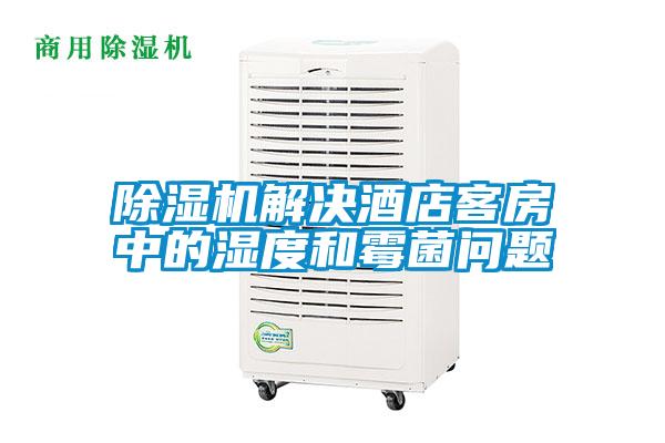 草莓视频APP在线观看解决酒店客房中的湿度和霉菌问题