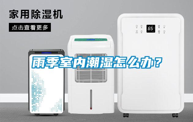雨季室内潮湿怎么办？