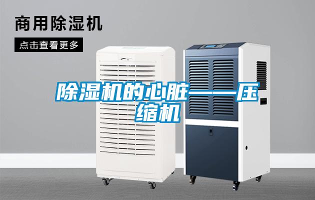 草莓视频APP在线观看的心脏——压缩机