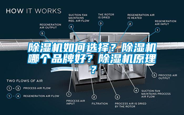 草莓视频APP在线观看如何选择?草莓视频APP在线观看哪个品牌好?草莓视频APP在线观看原理?