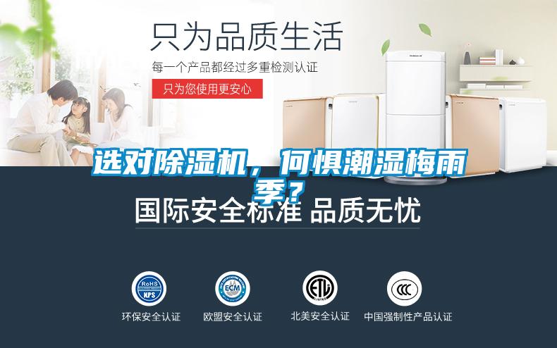 选对草莓视频APP在线观看，何惧潮湿梅雨季？