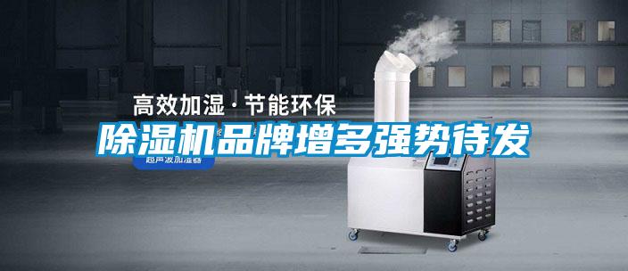 草莓视频APP在线观看品牌增多强势待发