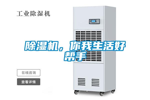草莓视频APP在线观看，你我生活好帮手
