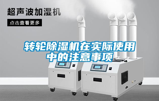 转轮草莓视频APP在线观看在实际使用中的注意事项