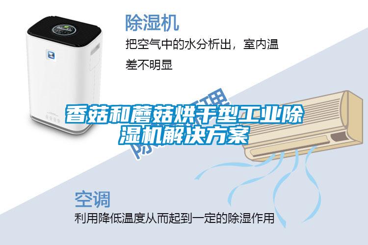 香菇和蘑菇烘干型工业草莓视频APP在线观看草莓成人在线观看