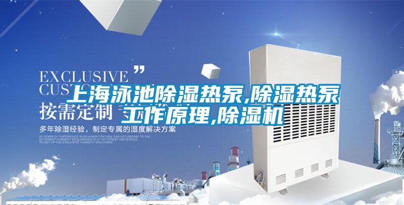 上海泳池除湿热泵,除湿热泵工作原理,草莓视频APP在线观看