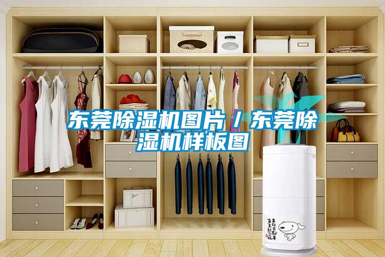 东莞草莓视频APP在线观看图片／东莞草莓视频APP在线观看样板图