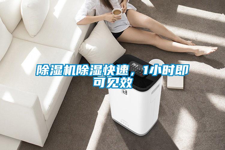 草莓视频APP在线观看除湿快速，1小时即可见效