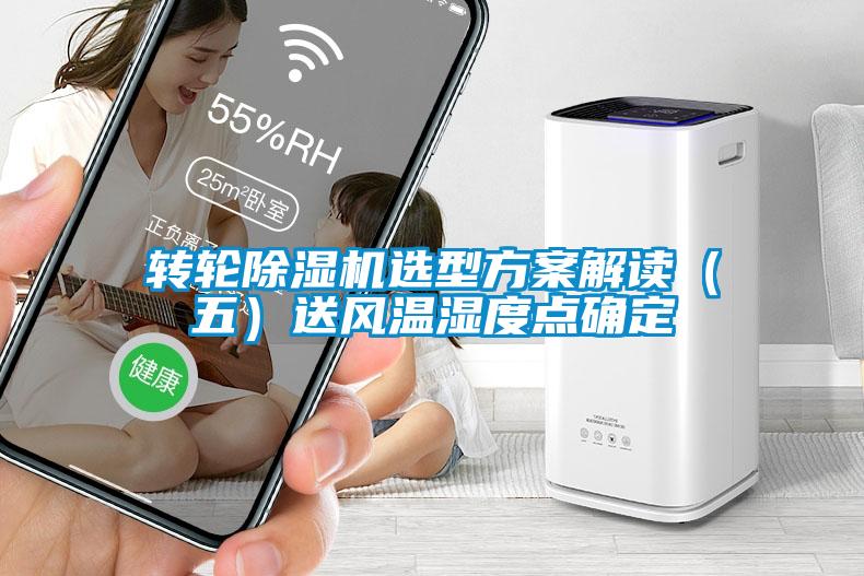 转轮草莓视频APP在线观看选型方案解读（五）送风温湿度点确定