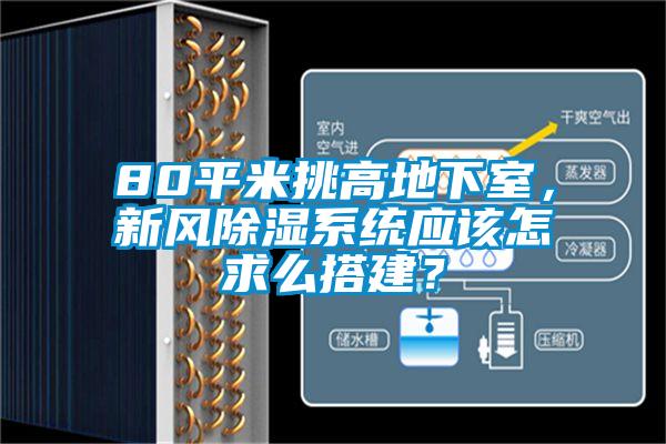 80平米挑高地下室，新风除湿系统应该怎求么搭建？