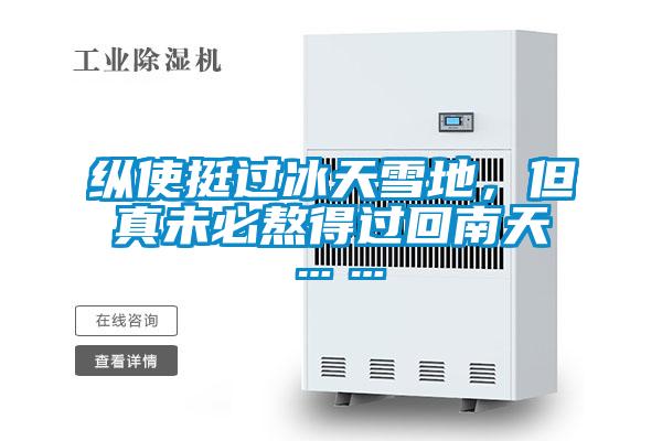 纵使挺过冰天雪地，但真未必熬得过回南天……