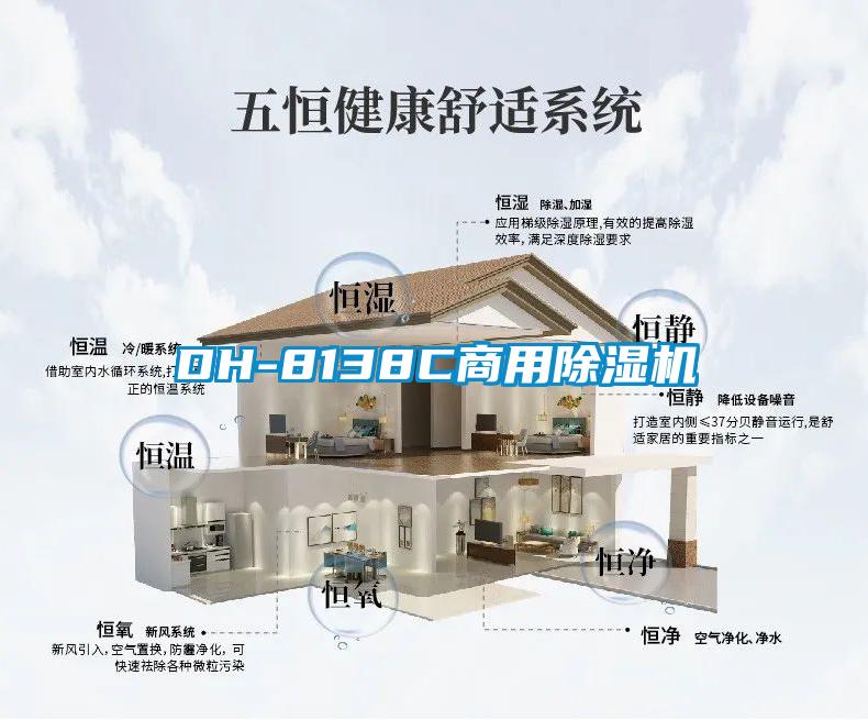 DH-8138C商用草莓视频APP在线观看