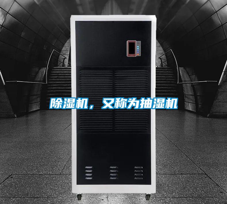 草莓视频APP在线观看，又称为抽湿机