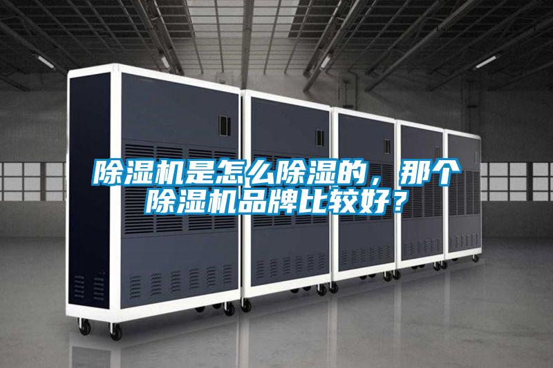 草莓视频APP在线观看是怎么除湿的，那个草莓视频APP在线观看品牌比较好？