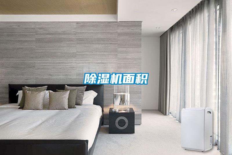 草莓视频APP在线观看面积