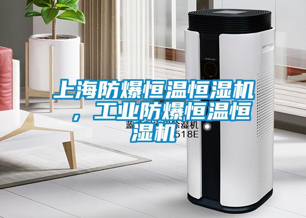 上海防爆恒温恒湿机 ，工业防爆恒温恒湿机