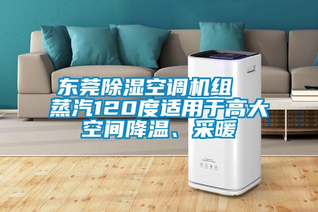 东莞除湿空调机组  蒸汽120度适用于高大空间降温、采暖