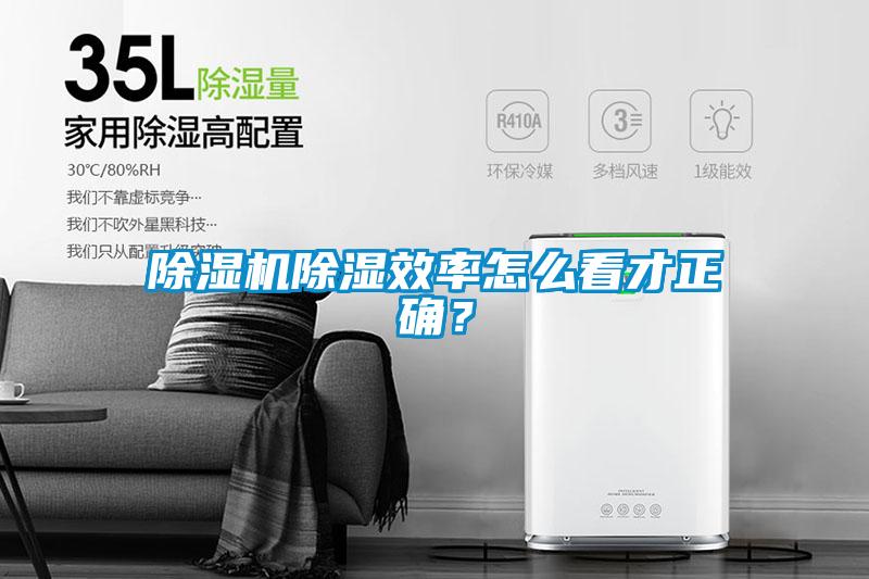 草莓视频APP在线观看除湿效率怎么看才正确？