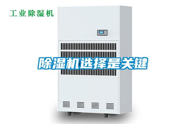 草莓视频APP在线观看选择是关键