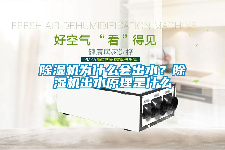 草莓视频APP在线观看为什么会出水？草莓视频APP在线观看出水原理是什么