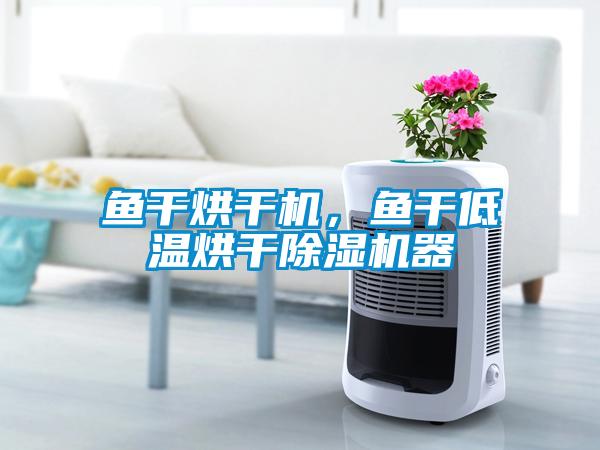 鱼干烘干机，鱼干低温烘干草莓视频APP在线观看器
