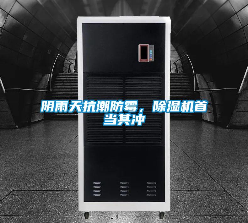 阴雨天抗潮防霉，草莓视频APP在线观看首当其冲